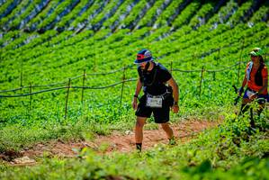 BIB: 3070
                            <button type="button" onclick="openModal(19163713)" class="btn btn-primary btn-sm float-right btn-popup" data-toggle="modal" data-target=".modal-high-quality">
                        <i class="fas fa-shopping-cart"></i> Add to Cart
                    </button>
                                            <button type="button" onclick="isThisMe(19163713, true)" class="btn btn-success btn-sm float-right btn-popup btn-isme hidden" data-toggle="tooltip" data-placement="bottom" title="นี่คือรูปของคุณใช่ไหม คลิกที่นี่เพื่อเอาเข้าอัลบั้ม">
                        <i class="fas fa-plus"></i> Add to album
                    </button>
                    <button type="button" onclick="isThisMe(19163713, false)" class="btn btn-warning btn-sm float-right btn-popup btn-isnotme hidden">
                        <i class="fas fa-ban"></i> Remove from album
                    </button>